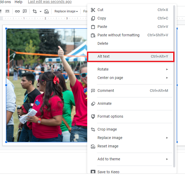 Image alt text option