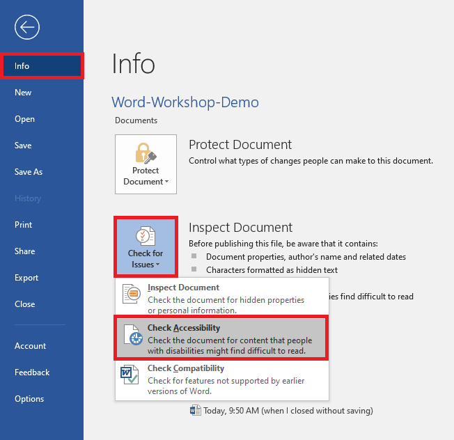 Accessibility Checker from Info menu