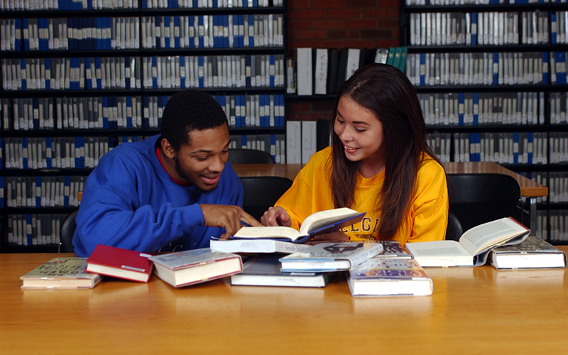 Students working together in library